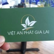 Công ty TNHH Việt An Phát Gia Lai